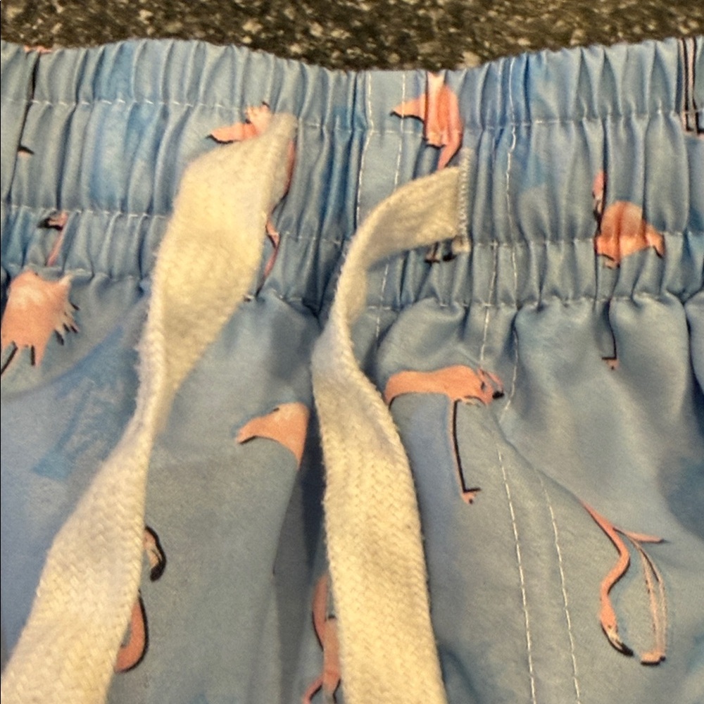 Blue Flamingo Print Swim Trunks with Pink Liner - Picture 9 of 12